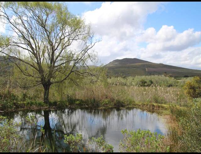 37HA FARM FOR SALE IN CALEDON RURAL